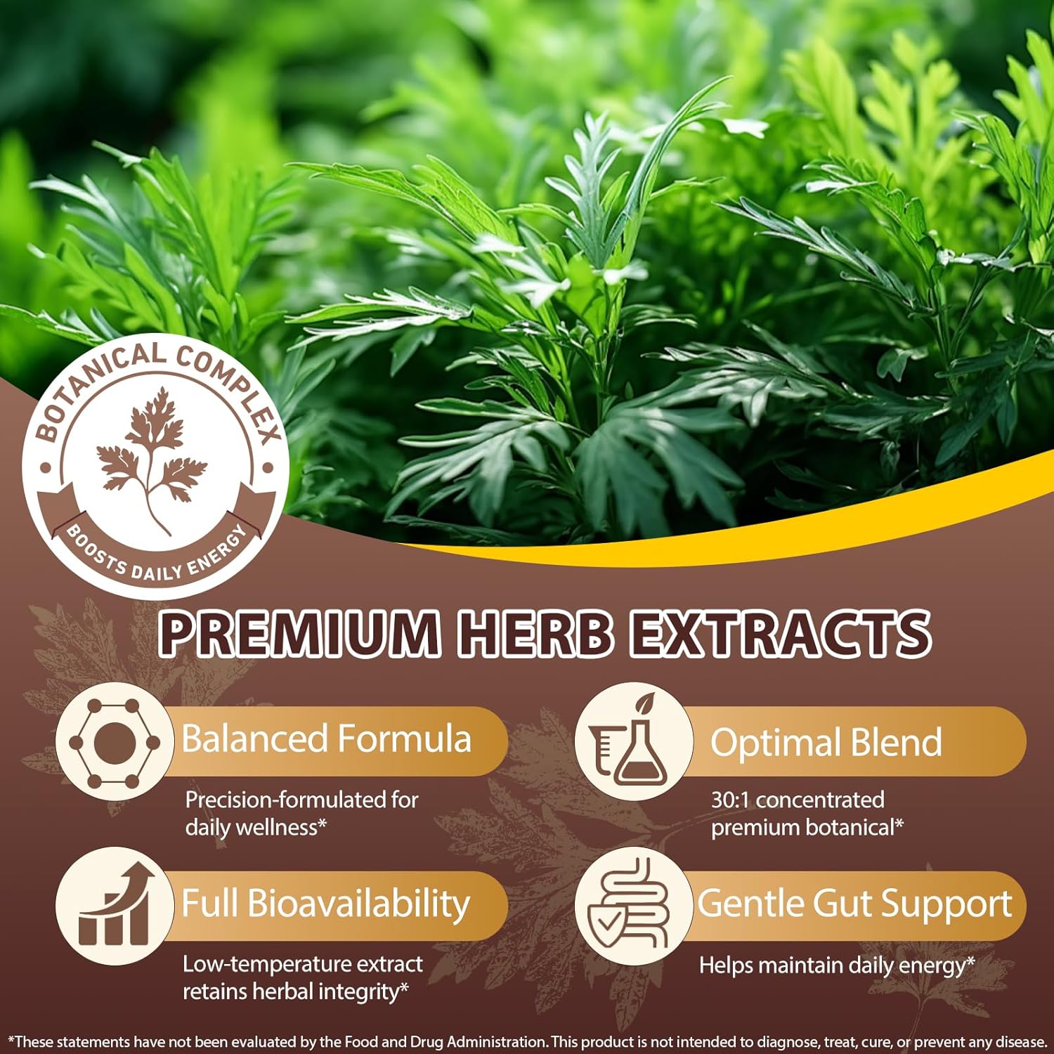 Wormwood Black Walnut Clove Cleanse For Humans, Powerful 18-in-1 Herbal Complex for Intestinal & Digestive Balance, with Pumpkin Seed, Turmeric, Garlic, Oregano & Berberine –80 Day Supply,240 Softgels - Image 2