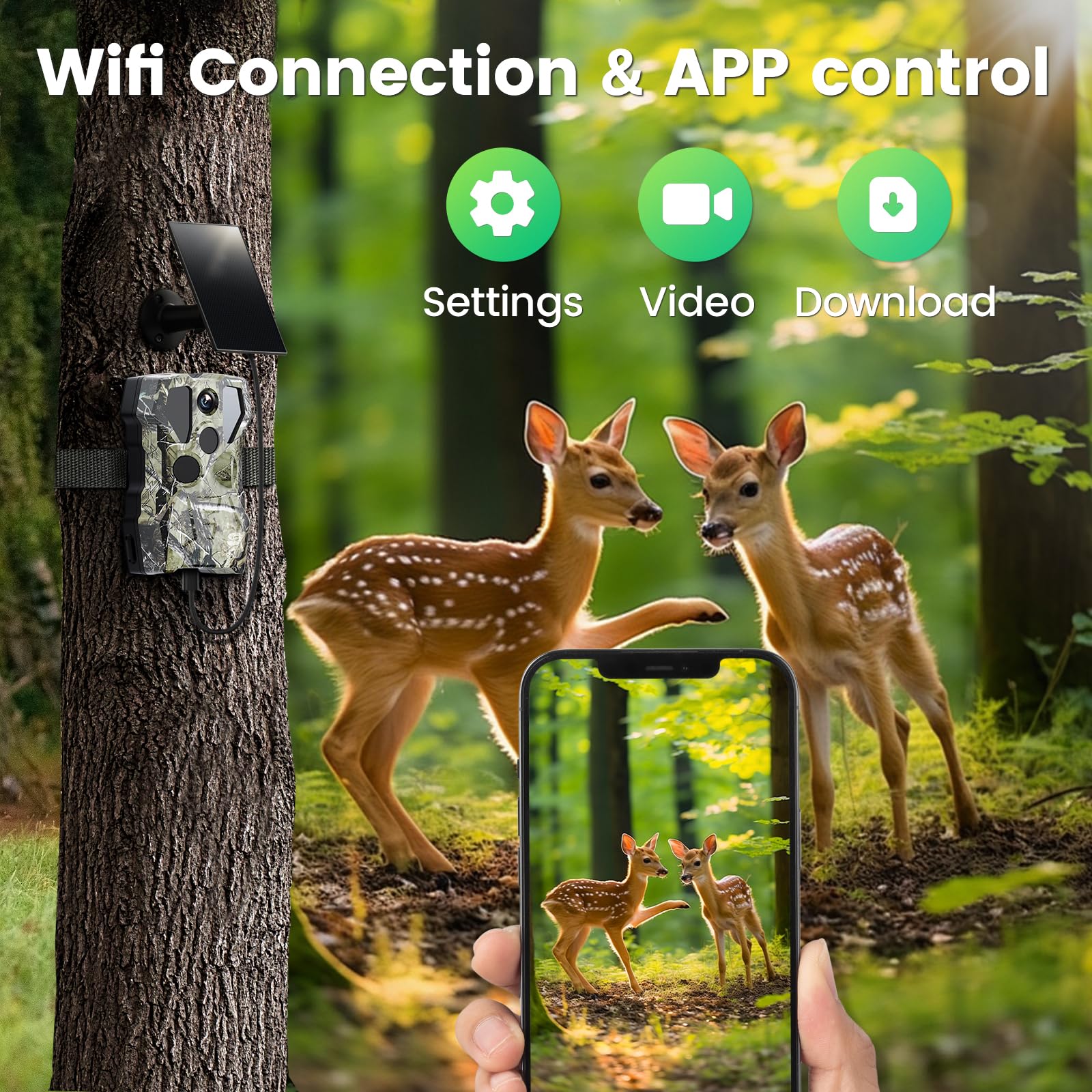 Best practices, complementary settings, and advanced options