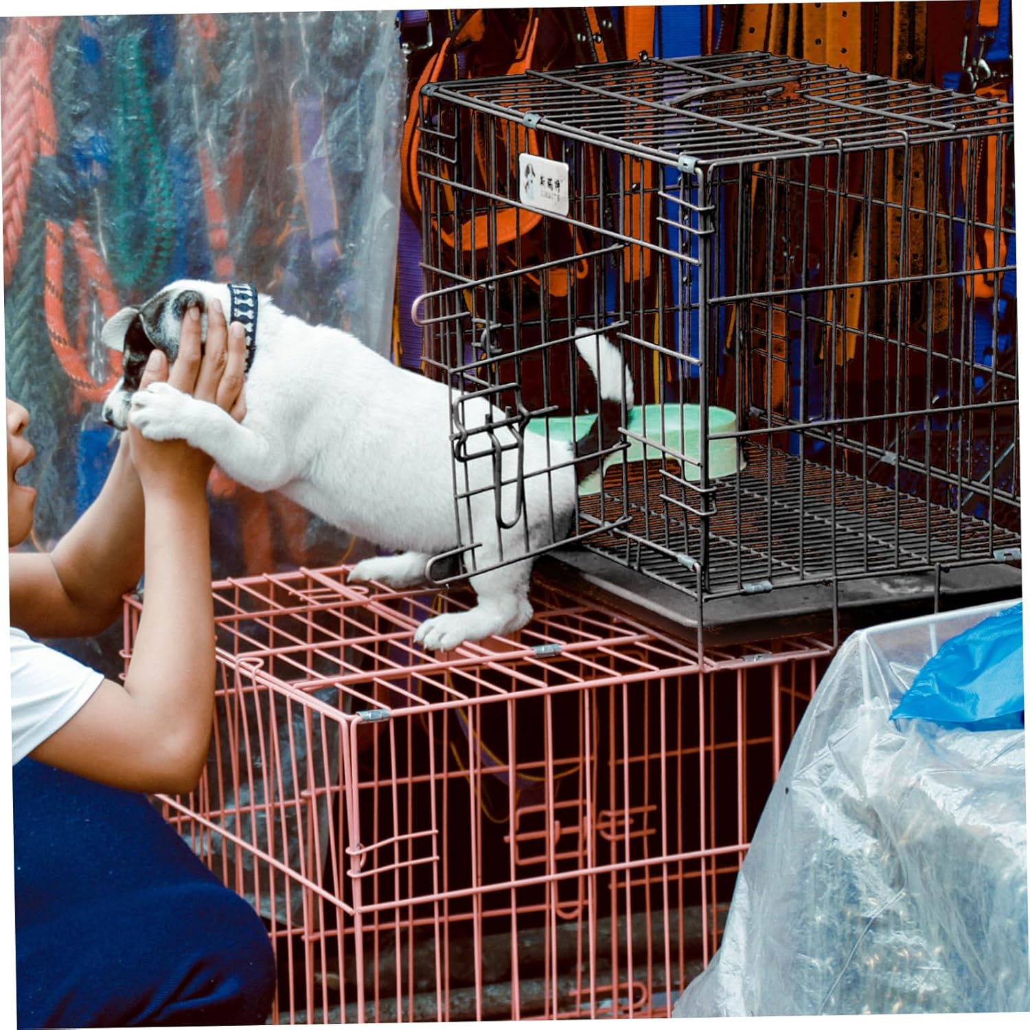 Foldable Dog Cage Medium Small Pet Crate with Removable Tray Iron Wire Kennel for Cats and Dogs Secure Comfortable House for Indoor Outdoor Use