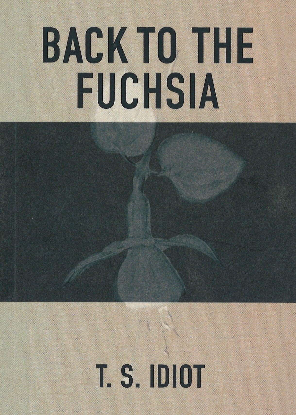 Back to the Fuchsia by T. S. IDIOT PAPERBACK 9781912092260