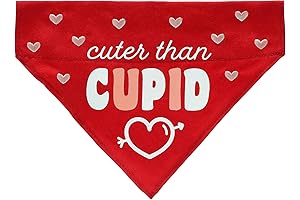 Adorable Valentine's Day Bandana for Your Furry Friend