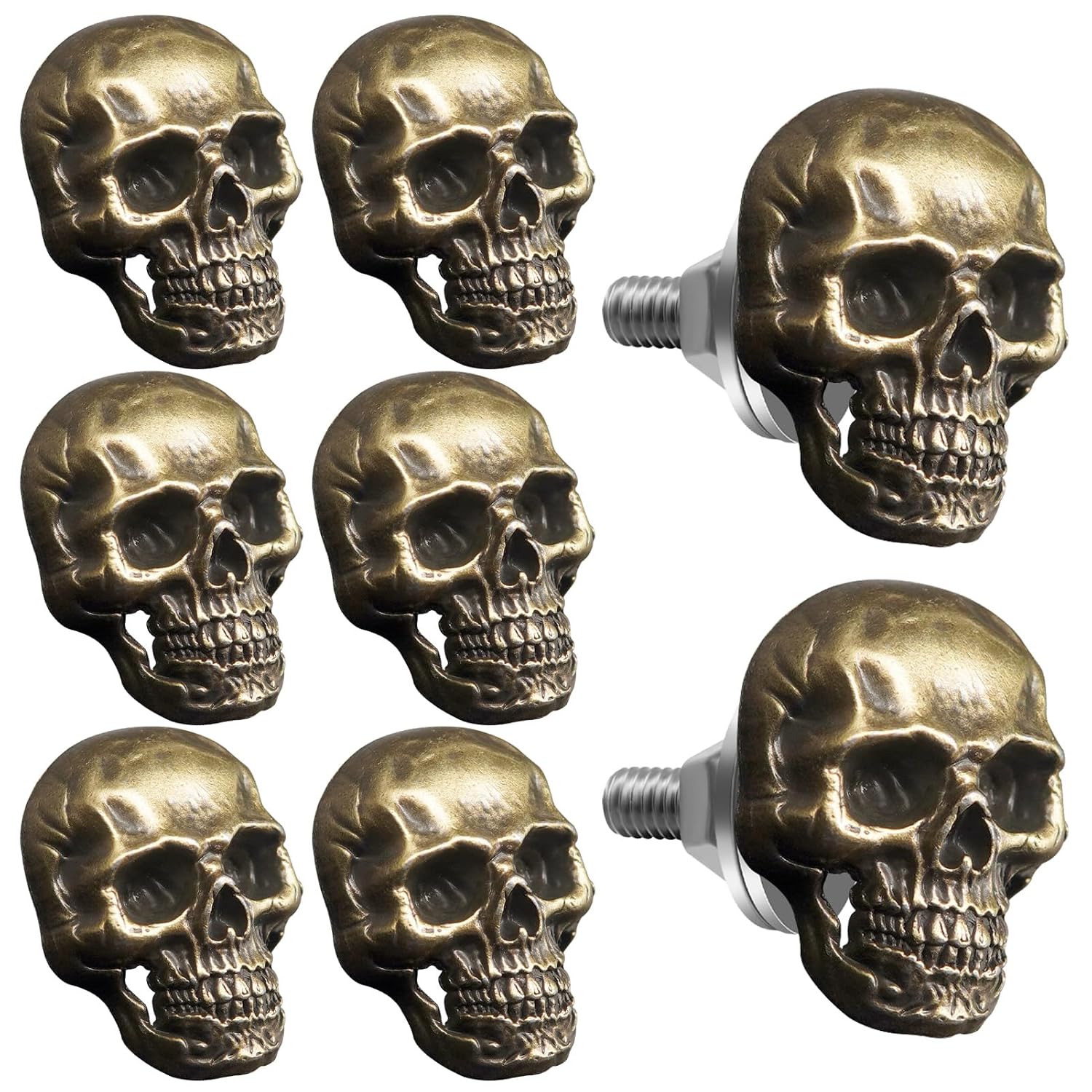 8 PCS Skull License Screws Skeleton Frame Plate Bolt Gothic Skulls Decor for Car, Motorcycle, Truck, Vehicle (Black)