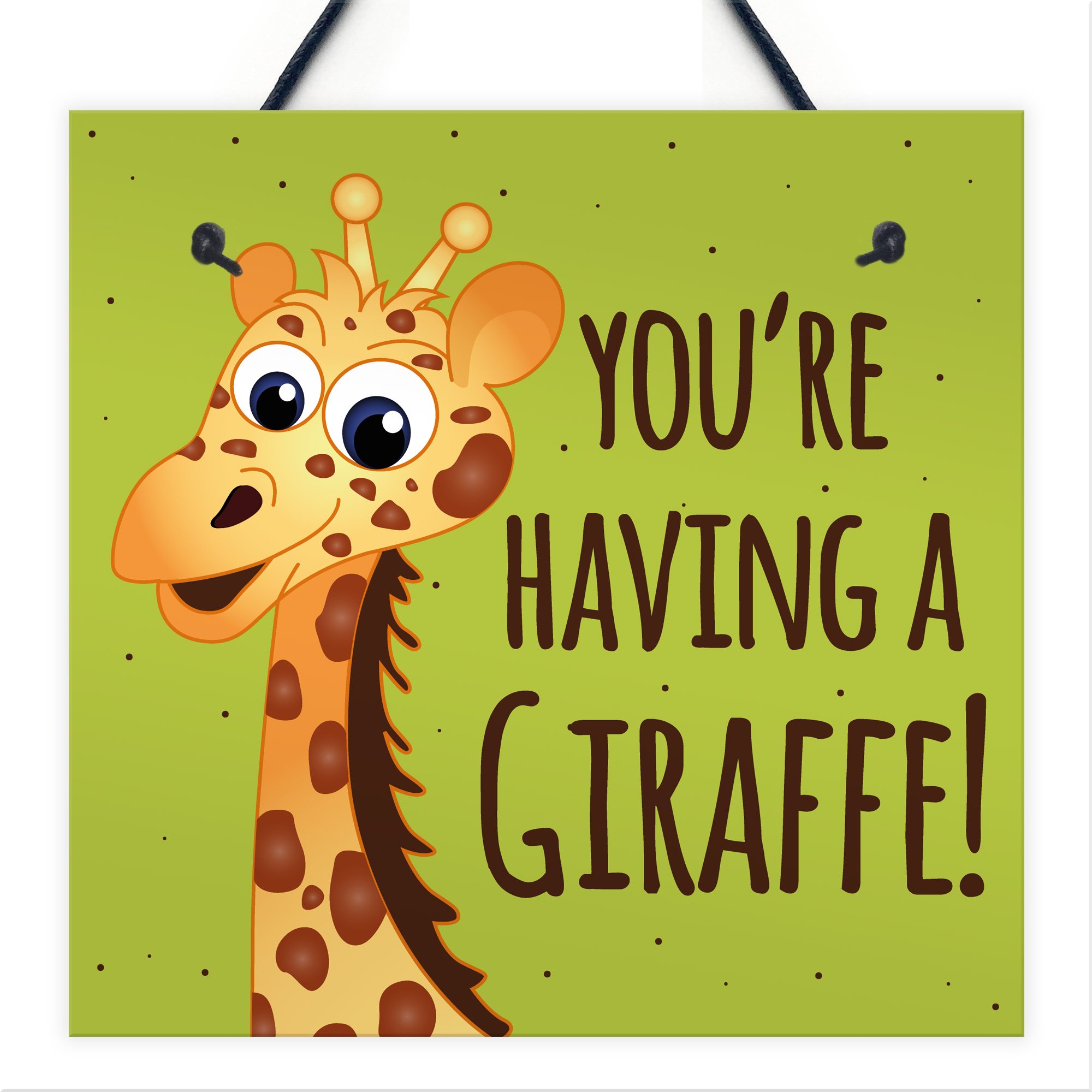 Red Ocean You're Having A Giraffe Hanging Plaque Funny Friendship Gifts Birthday Best Friend Sign
