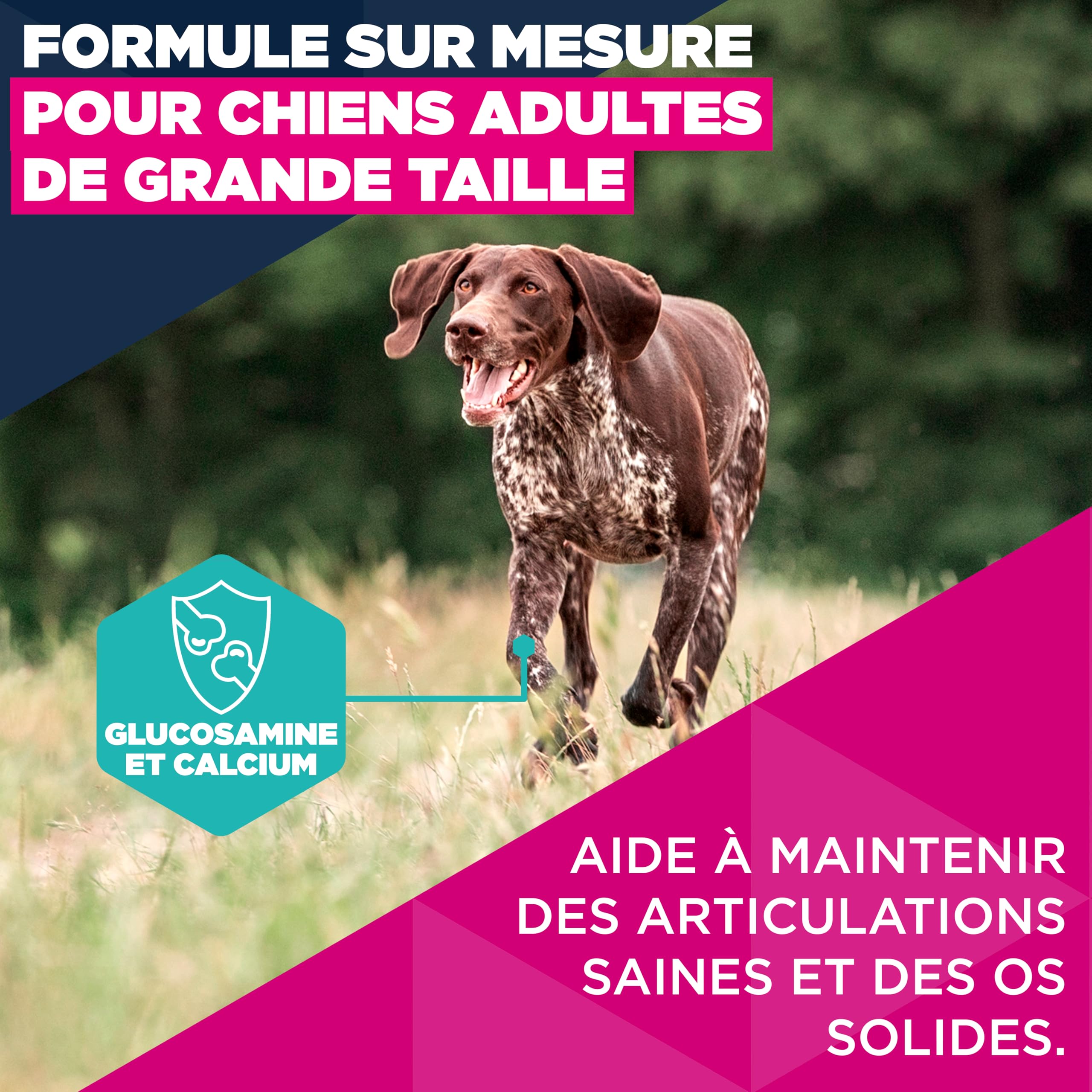 EUKANUBA Life Care Chien Grande Race Saumon Orge 12 kg | Nourriture sèche de qualité supérieure pour chiens adultes
