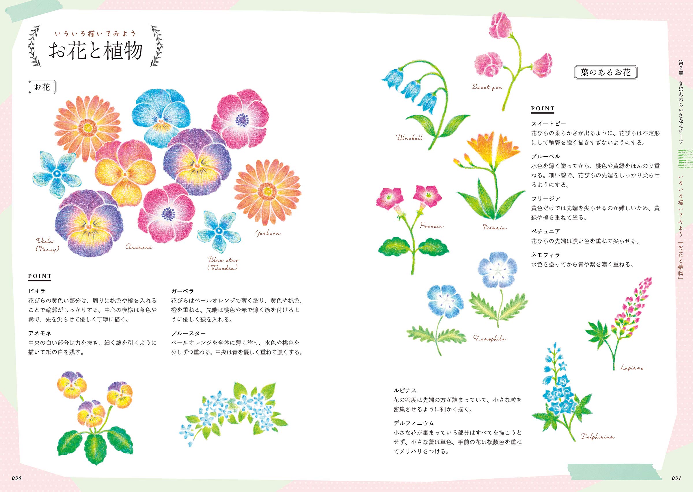 12色の色鉛筆で描く ちいさなイラスト手習い帖 動画付き Atelier Rili 配送料無料