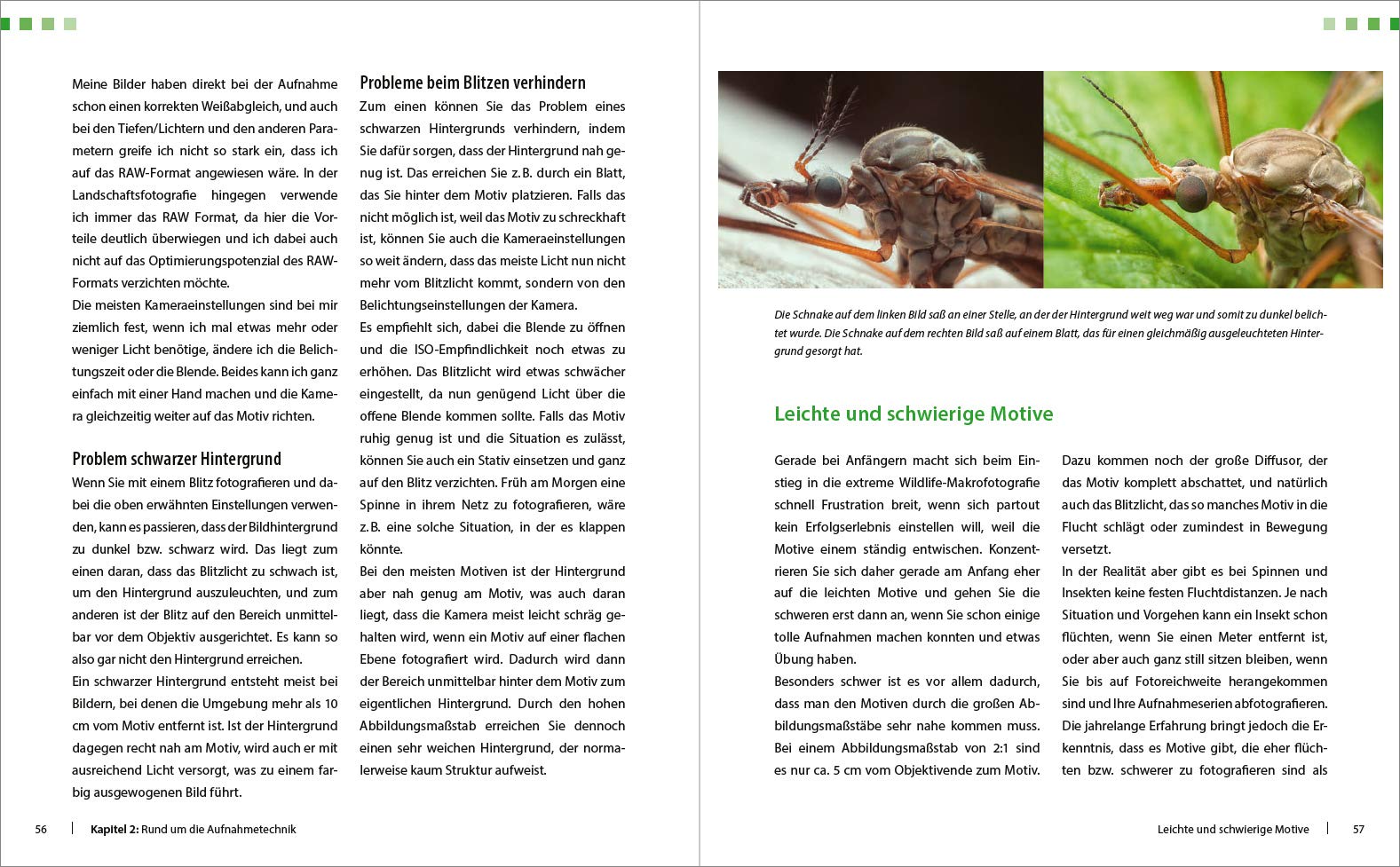 Extreme Wildlife-Makrofotografie: Für bessere Fotos von Anfang an!. Reise in eine atemberaubende Motivwelt von Insekten & Spinnen. Aufnahmetechnik und ... Grenzen sprengen mit enormer Vergrößerung