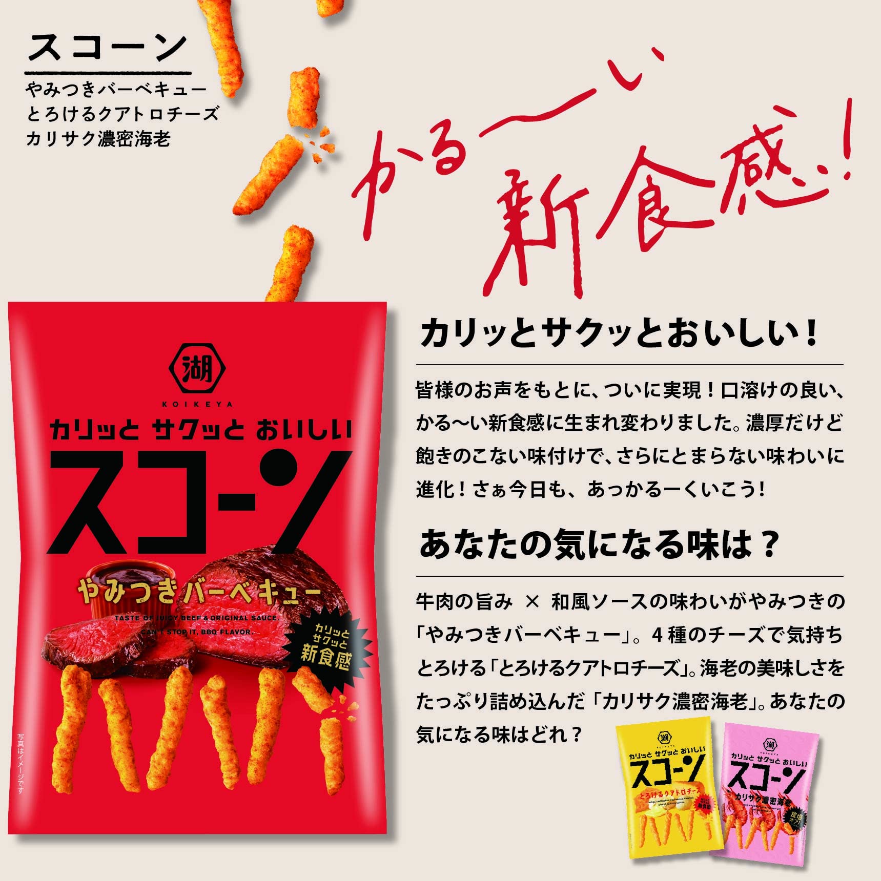 Amazon.co.jp: 湖池屋 Largeサイズ スコーン やみつきバーベキュー