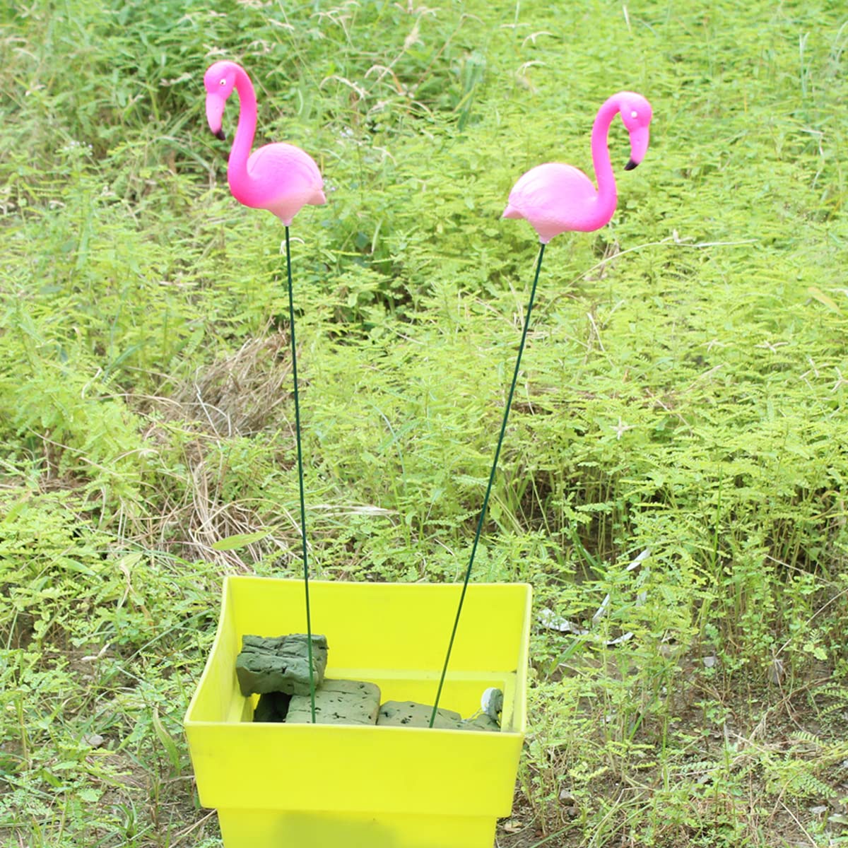 Wonderland (Set of 2) Plastic Flamingo Garden Stake/Stick for Home, Garden, Planter, Balcony Decor Decoration Item, Gift (B07DJD7185) Amazon Price History, Amazon Price Tracker