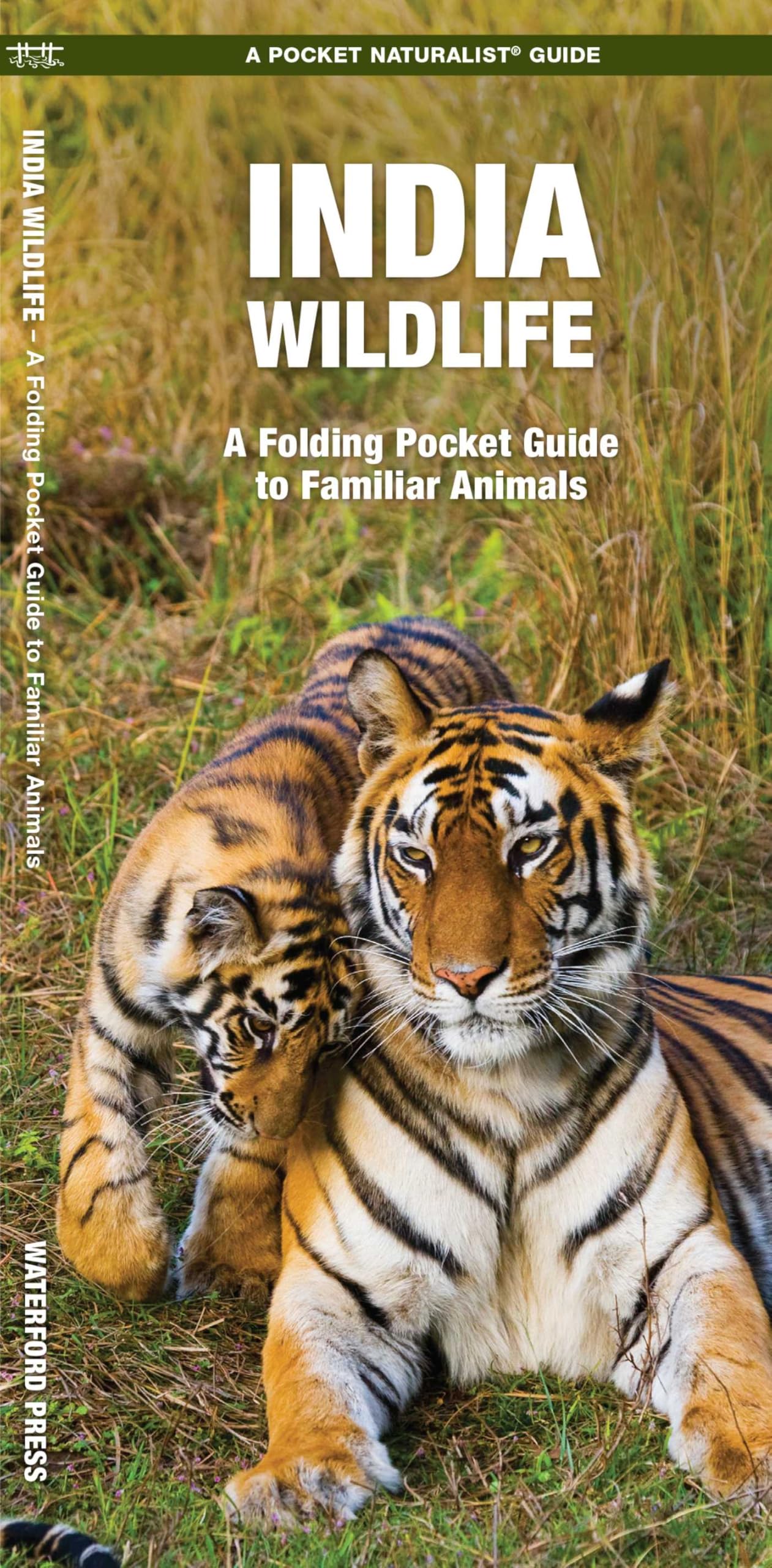 India Wildlife: A Folding Pocket Guide to Familiar Animals (A Pocket Naturalist Guide) (Nature Observation International)
