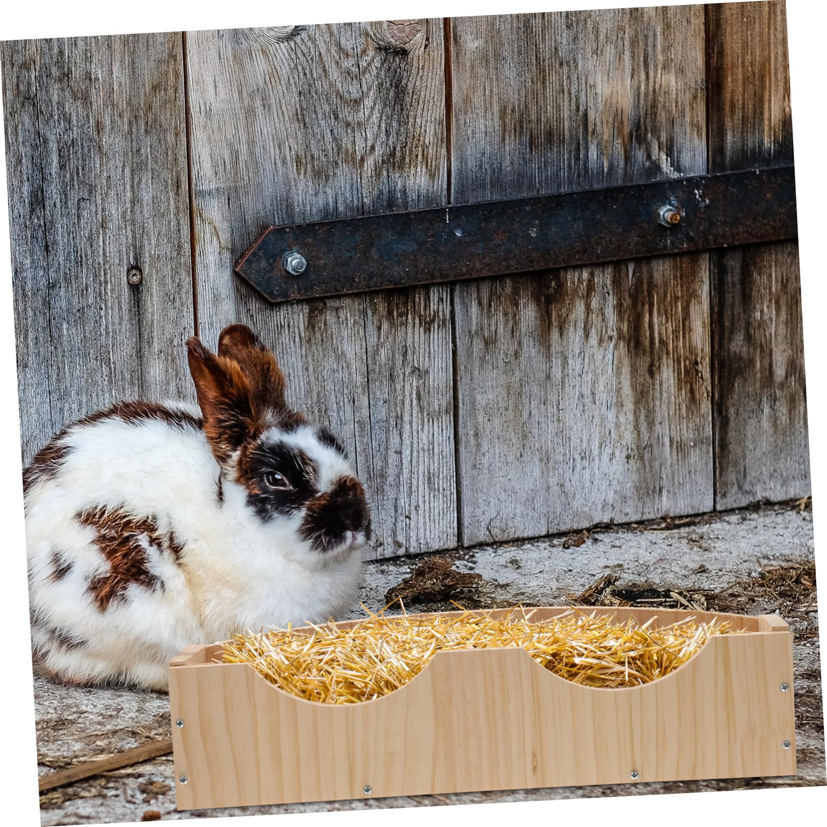 Hasengestell mit Aufbewahrungsnut und Holzfutter Großer Futternapf zum Aufhängen mit Fixator für Kaninchen und Hamster Einfach zu Verwenden