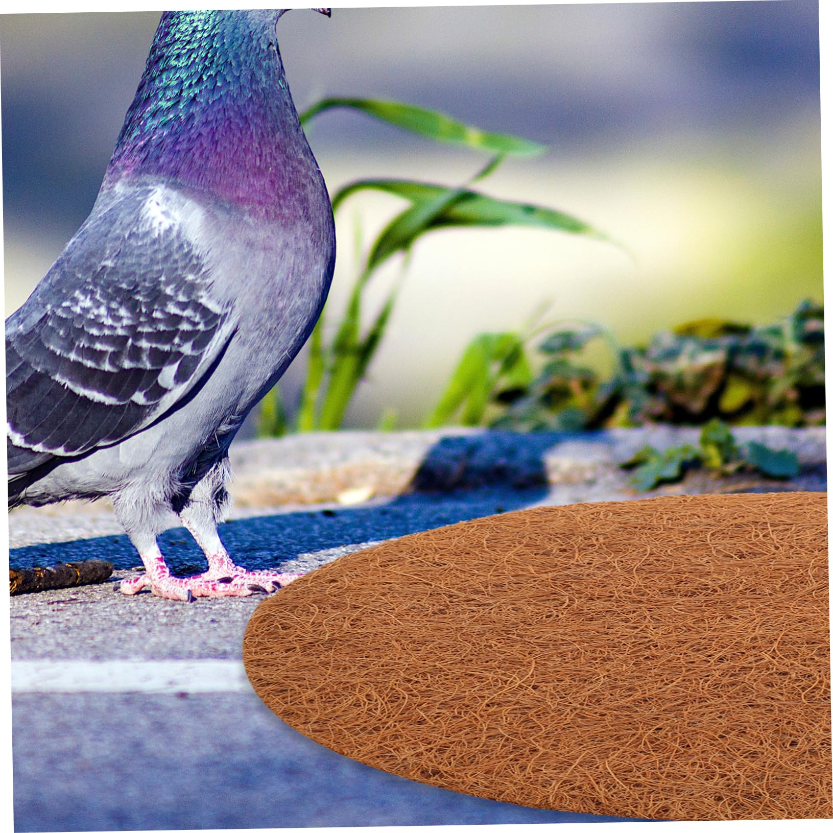 Geelin 16-teiliges Vogelzubehör-Set Für Tauben & Vögel - Mit Nestschalen, Palmenmatten & Ständern