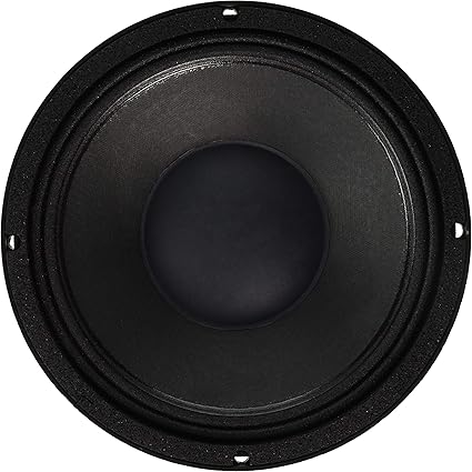 Subwoofer 10 inch acr Clearance