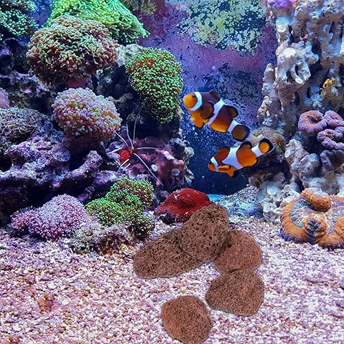 Miniatura 7 de Balacoo - Piedras de lava volcánicas decorativas para acuario de 15.87oz, 3 a 2.4in