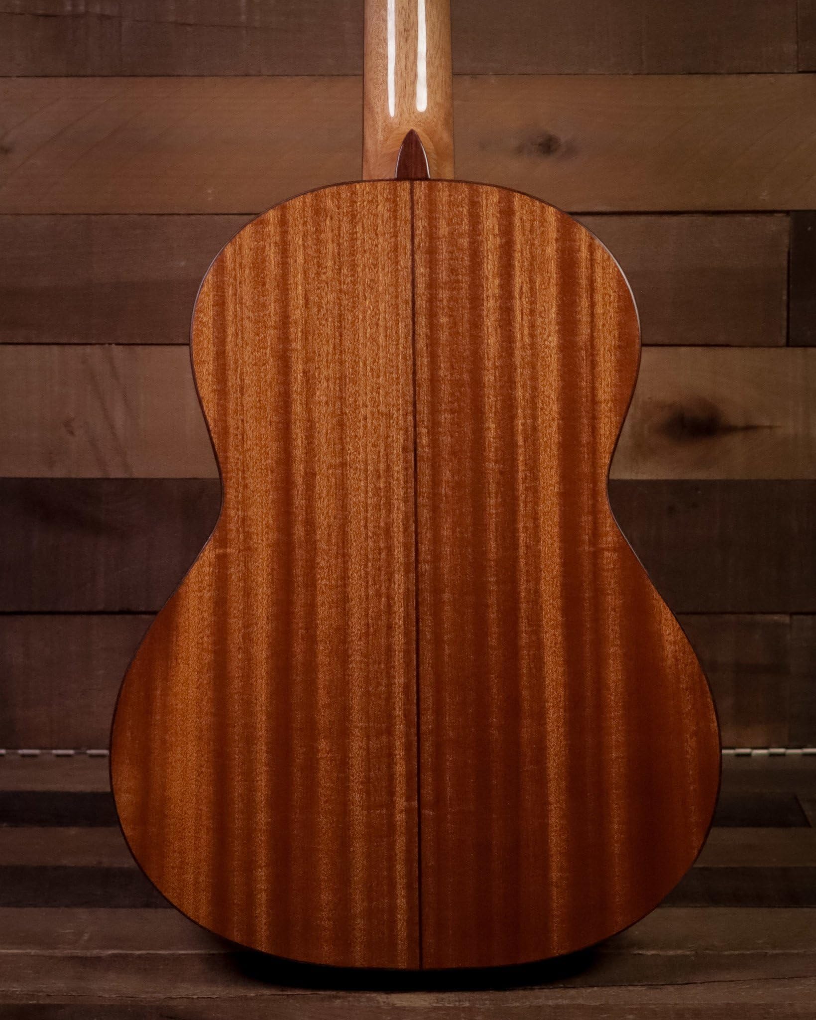 Cordoba dolce acustica 7/8 corde in nylon per chitarra classica, 7/8 Naturale