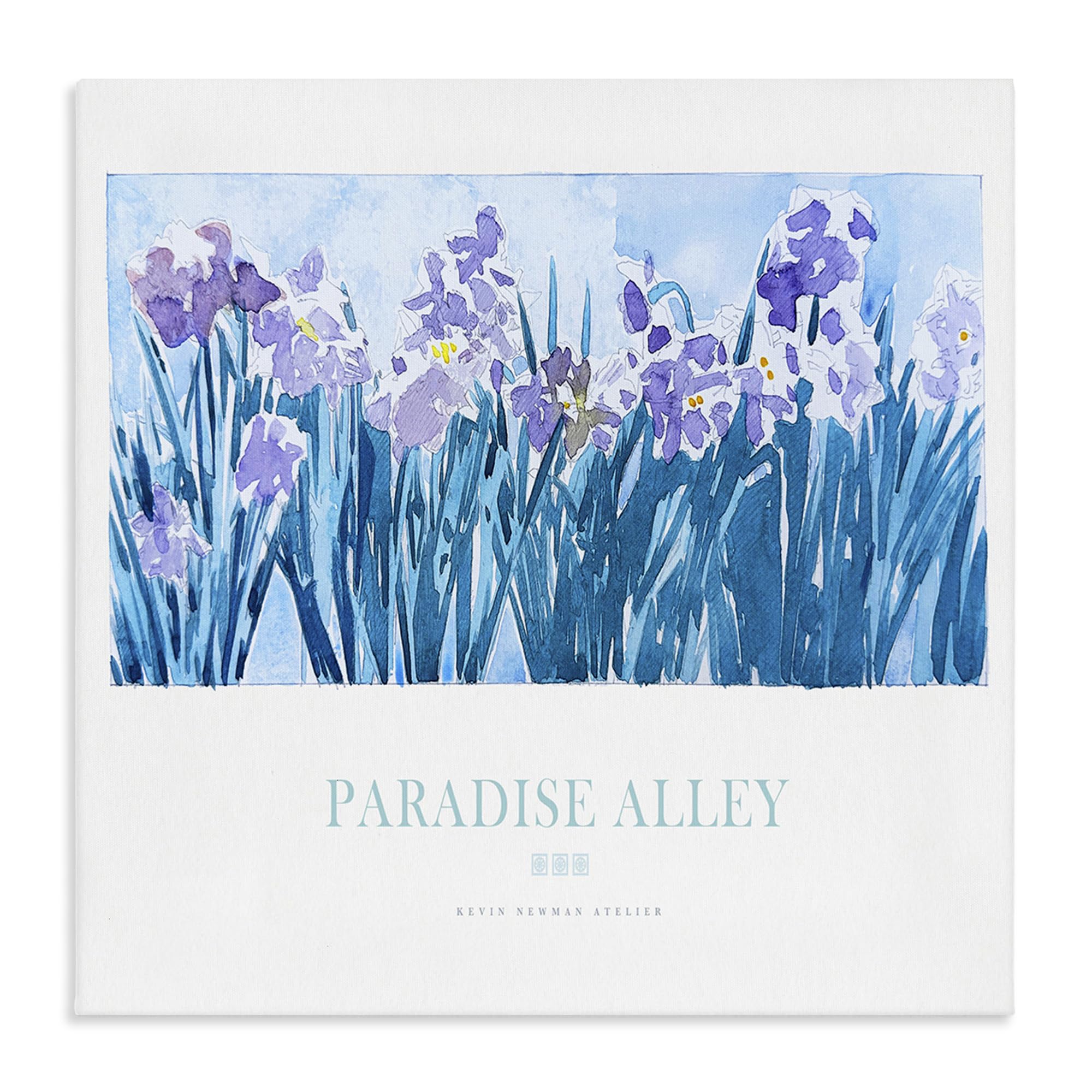 Stupell Industries 'Paradise Alley Purple Irises', Canvas Art, 36 x 36 Inches, Easy to Hang and Sturdy, Made in USA, by Jadei Graphics