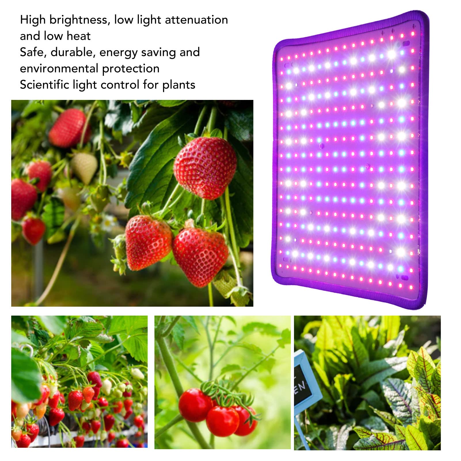 Lámparas de Cultivo de Plantas, Luces de Cultivo de Plantas LED de Control Científico de 1000 W, Luces de Cultivo LED de Bajo Calor para Invernadero de Plantas de Interior(EU-12 pulgadas)