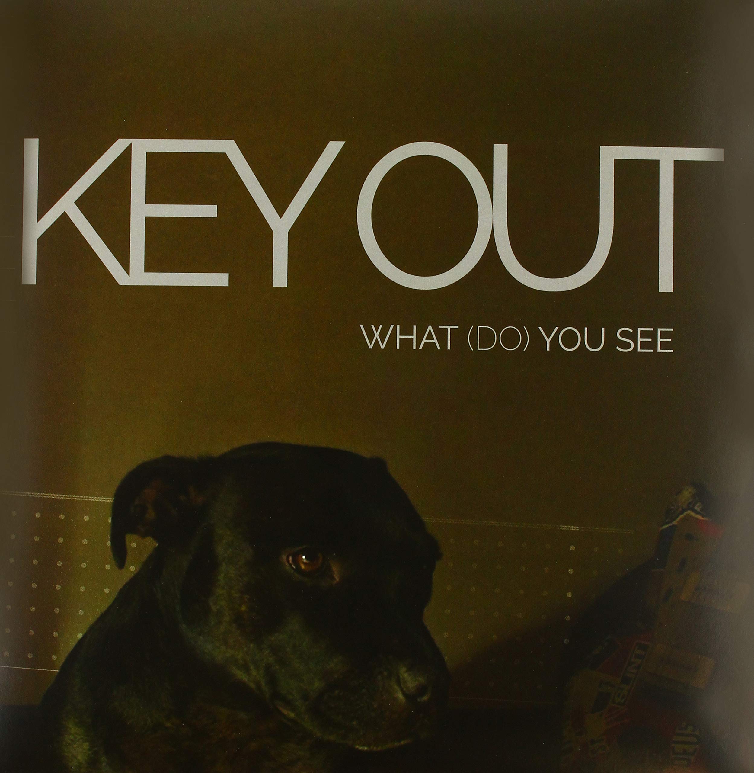 What (Do) You See [VINYL]