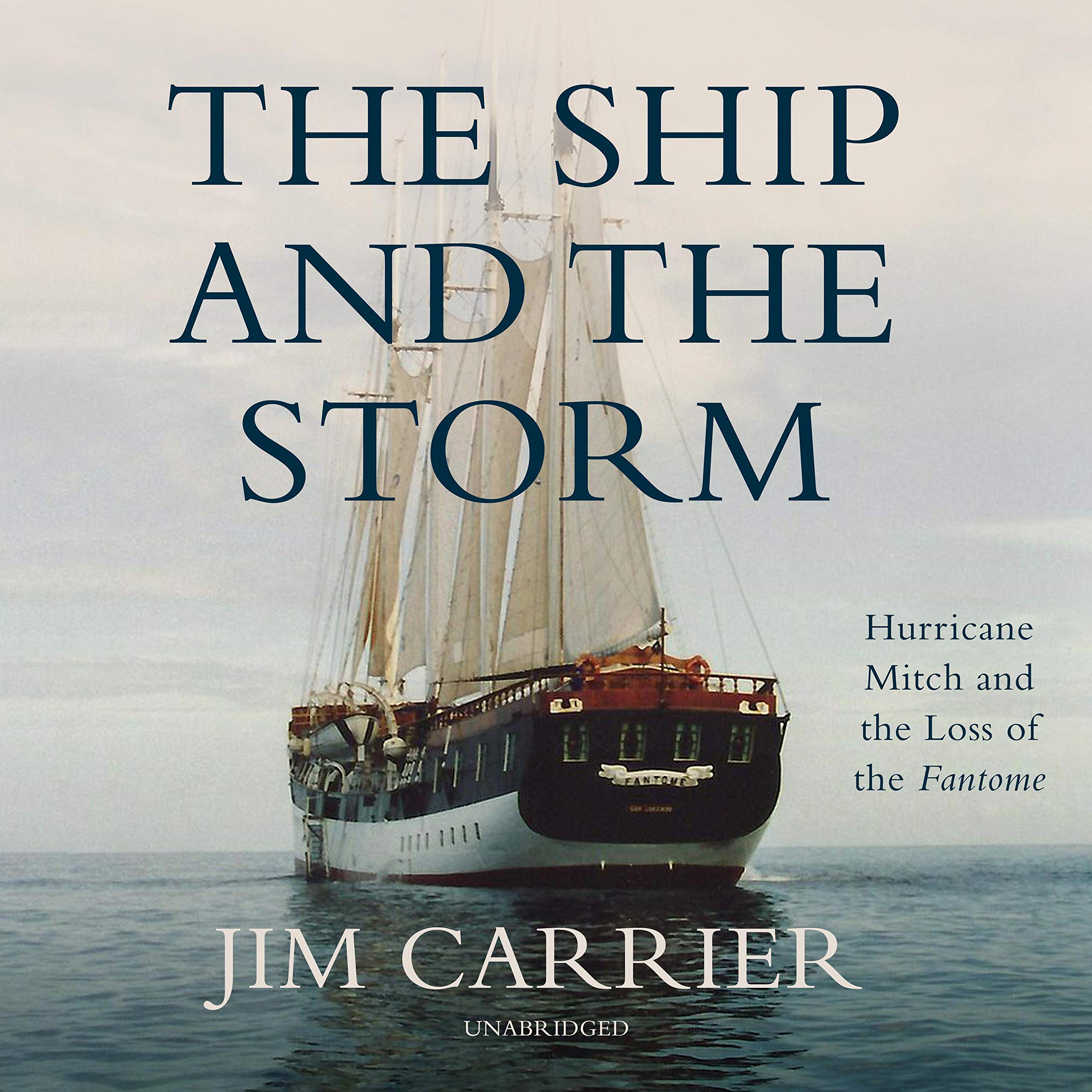 Cover art for The Ship and the Storm