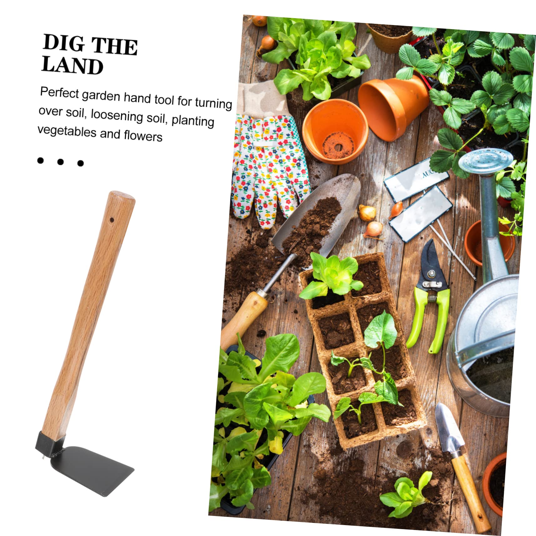 Giardino Leggera con Testa in Ferro e Manico in Legno Ergonomico Attrezzo Manuale per Diserbo e Scavare Terreno Zappetta Portatile per Orto e Piantagione Strumento per Cura Pian