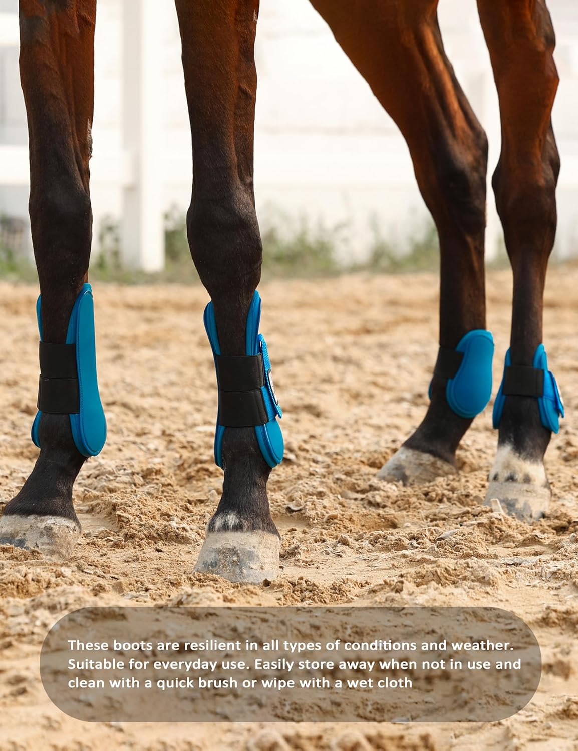 Harrison Howard Horse Tendon Boots Open Front/Fetlock Boot for Horse Protective Boots for Jumping, Trail Riding Set of 4