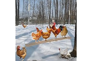 Hangable Chicken Swings for Coops