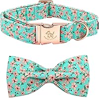 Vista 10 de Collar para perro Elegant Little Tail con moño, estampado de pepinillos, collar de moño lindo para perros pequeños