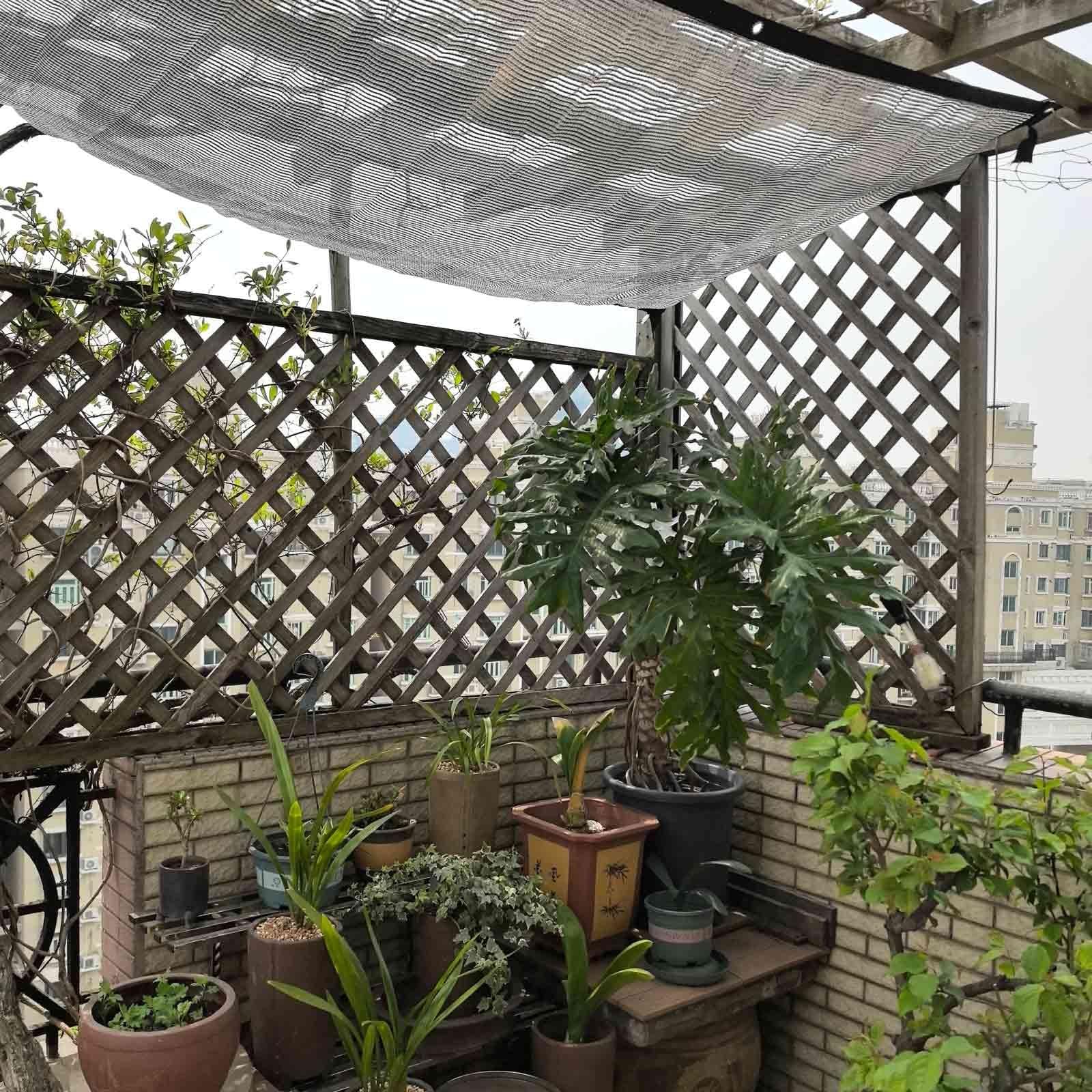 View 5