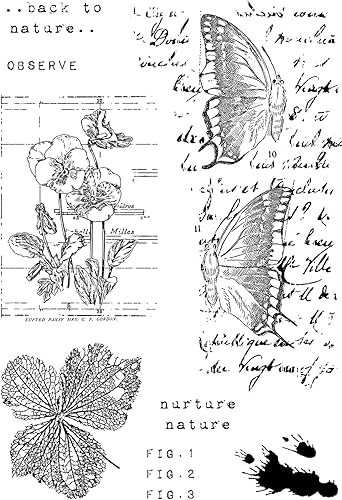 Juego de sellos transparentes 4 "X6" por Sam Poole-Faded Flora CEC1046