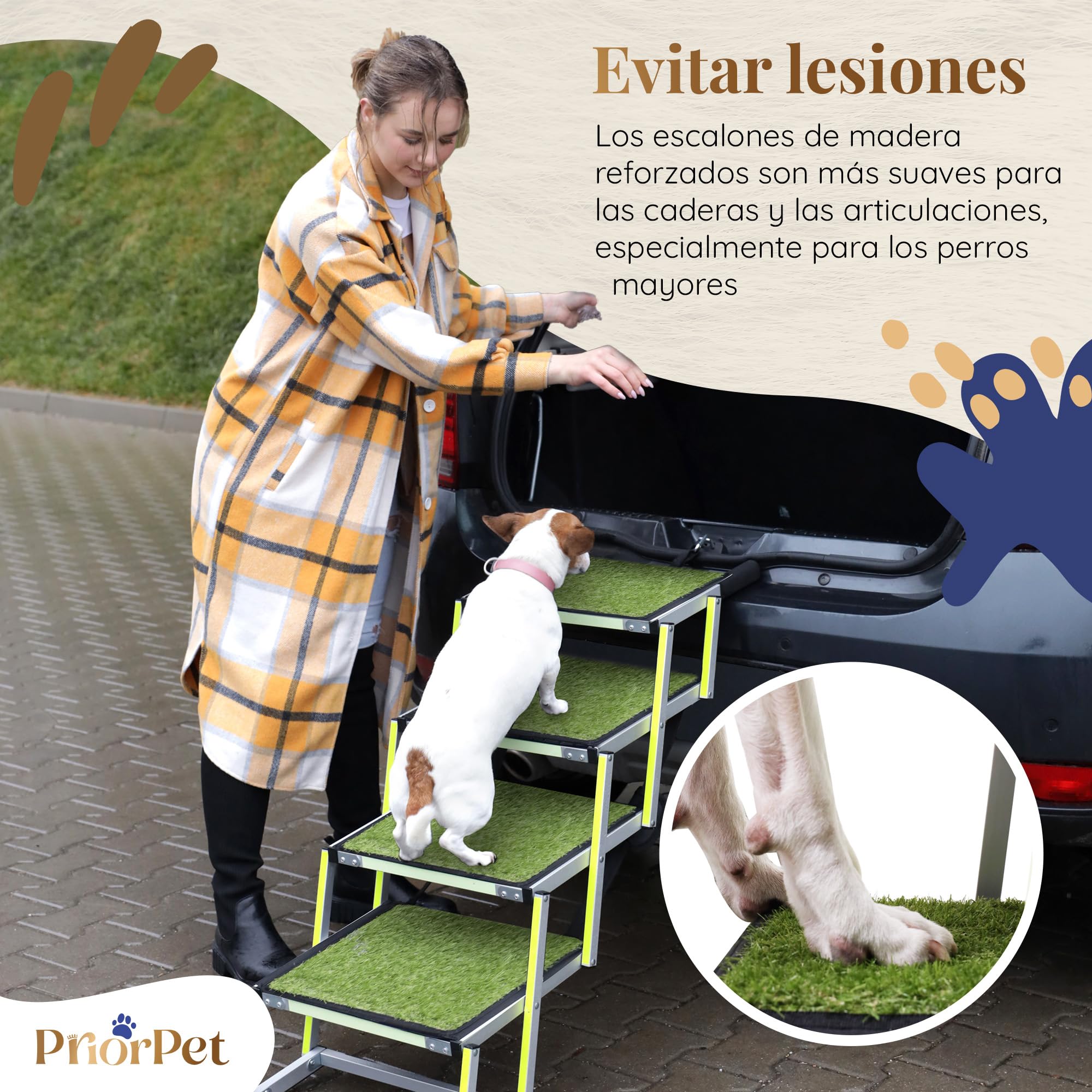 Escalera para Perros Plegable - Marca Que Brilla en la Oscuridad - Rampa para Perros de Coche - Adecuada para Todos los Coches - Superficie de césped Antideslizante - Capacidad de 77 kg - 4 Escalones