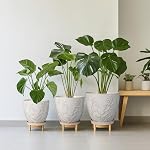 MPotTo 10 Inch Plant Pot Ceramic Planter Pot with Drainage Hole and Saucer Round Planter Large Flower Pot for Indoor Outdoor Plants Home Garden Decor White
