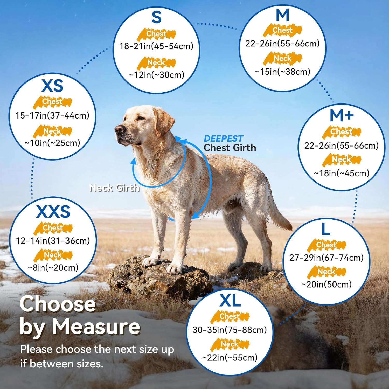 VIVAGLORY Frostfit Dog Coat, Dog Jacket for Winter & Cold Weather, Warm Fluffy Fleece Lined Water Resistant Reflective for Puppy, Coat with Leash Hole, XXS, Fuchsia - Image 2