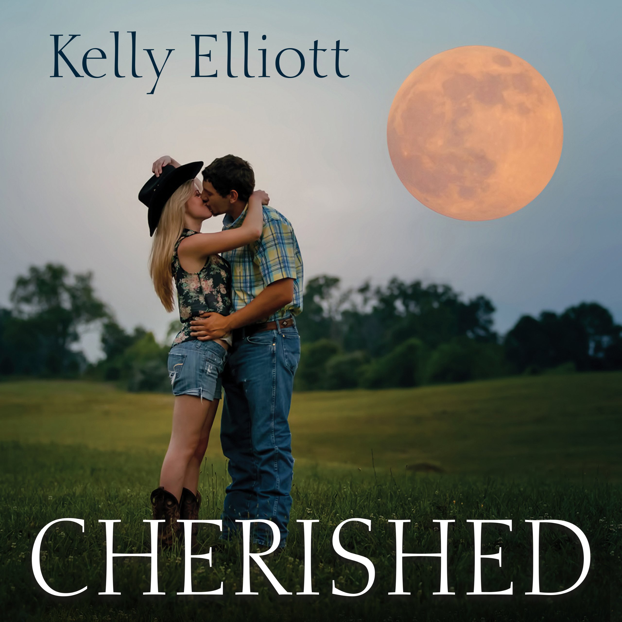 Cover art for Cherished