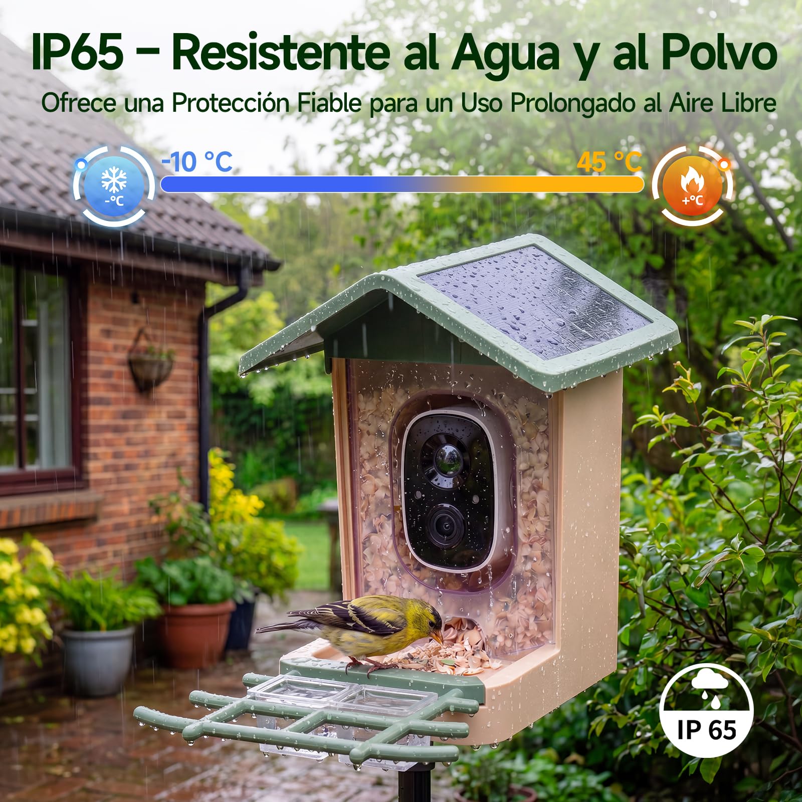 Comedero Inteligente Pájaros, Rollei Smart Bird Feeder 3K Comedero Pajaros | Solar con Cámara Exterior AI Reconocimiento de 10000 Pájaros Impermeable IP65 Visión Nocturna LED Audio Bidireccional