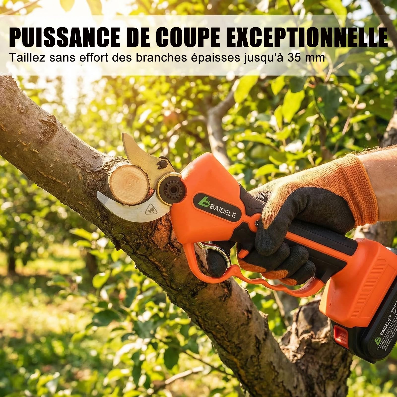 Secateur Electrique Sans Fil, 35mm Secateur a Batterie avec 2 x 2,0AH Batteries au Lithium, 8 Heures D'utilisation, Poignée Anti-Fatigue, Idéal Pour La Taille Des Jardins, Des Vergers et Des Vignobles