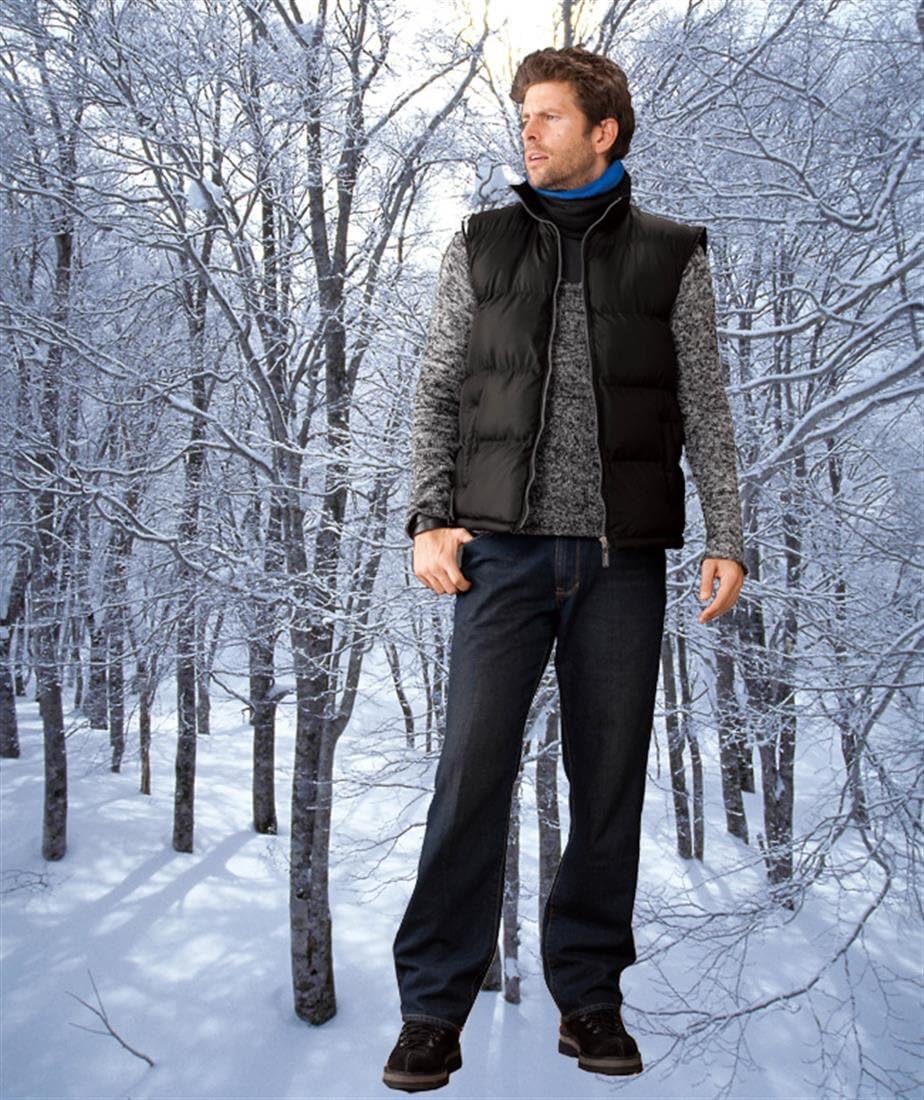 Amazon | [APEX WIN] 390-0 防寒ベスト[M 02:ネイビー] | ベスト 通販