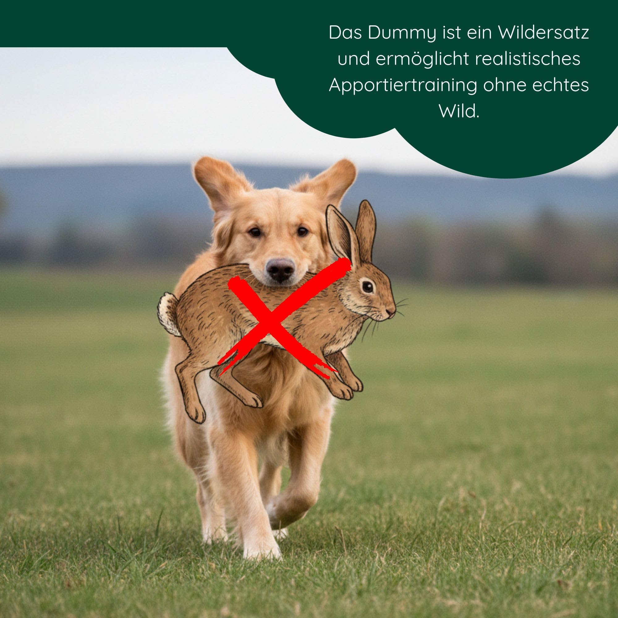 Romneys Junior Dummy Jouet flottant pour l'entraînement du chien et du rapport, 250 g, orange et bleu