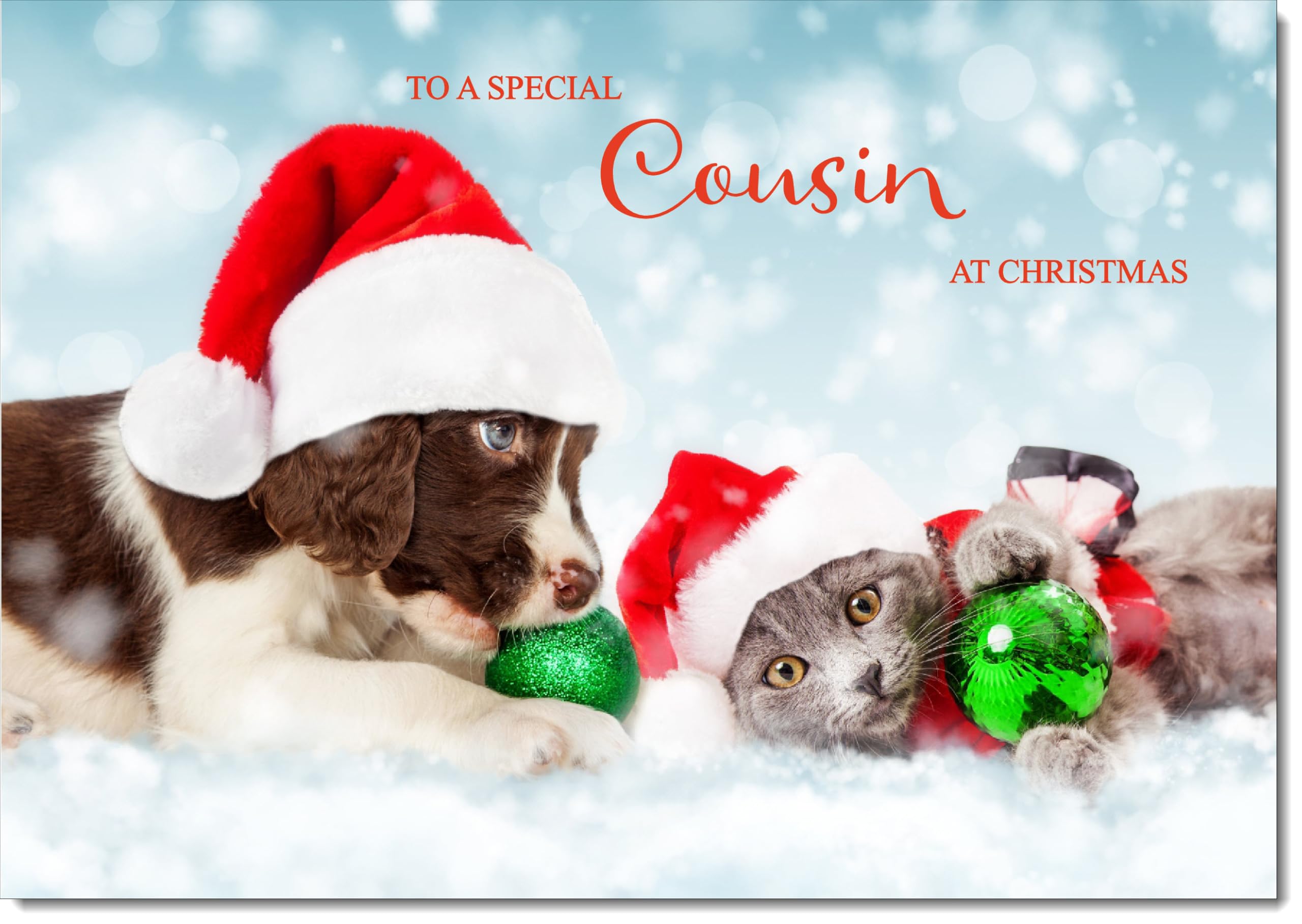 doodlecards Cousin Christmas Card Puppy and Kitten with Santa Hats Large A4 Size Christmas Card for Cousin with Plain Envelope — image 1