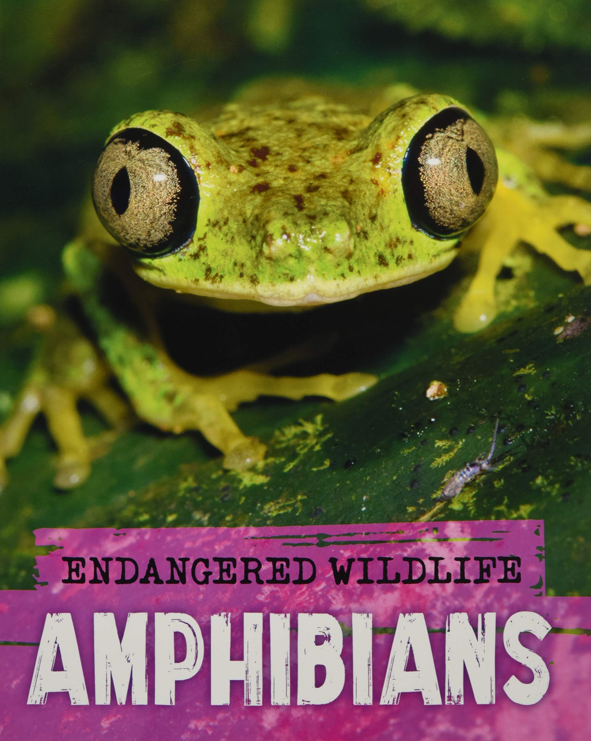 ENDANGERED WILDLIFE: RESCUING AMPHIBIANS