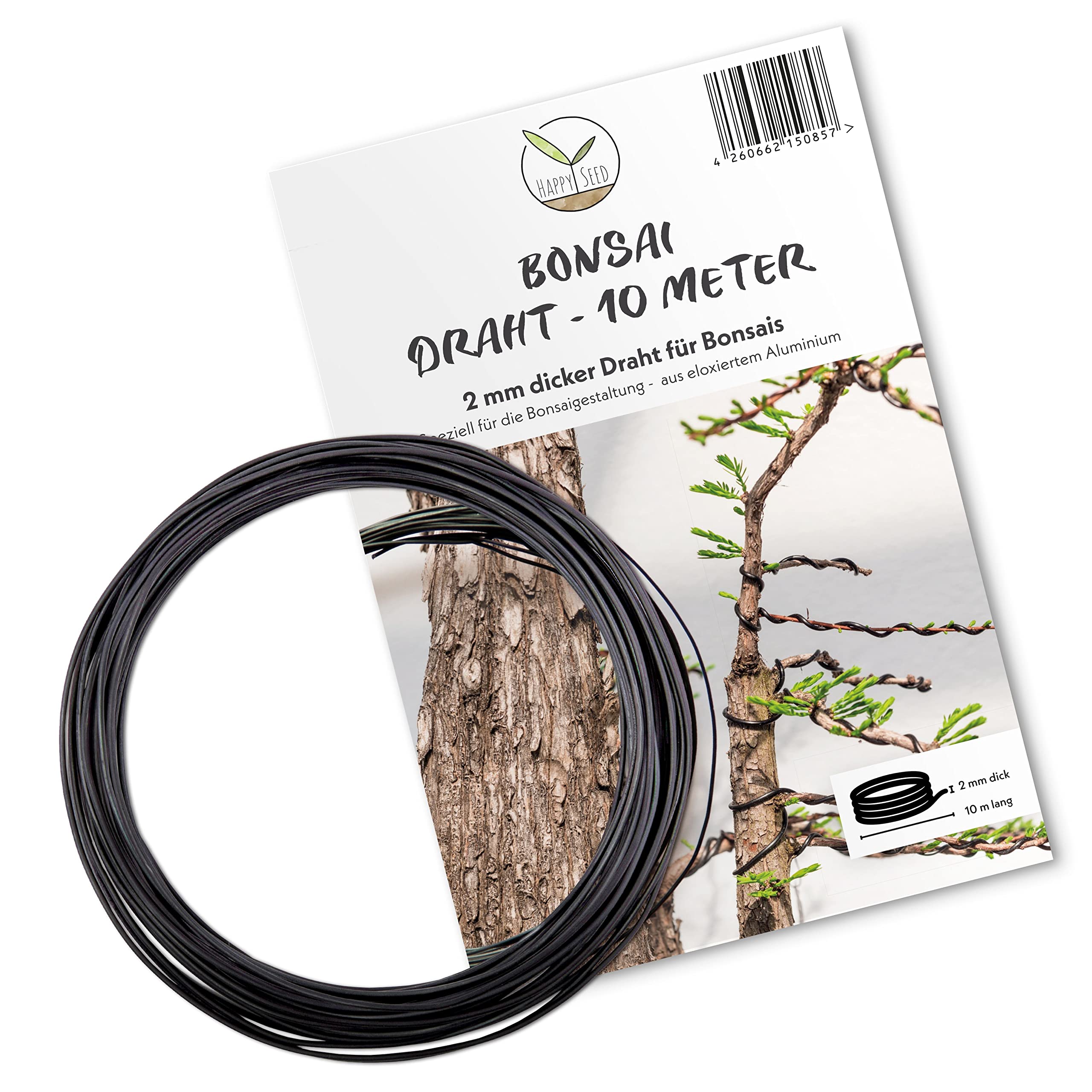 astrophytum superkabuto Astrophytum asterias 'Superkabuto'  Iconic Spotted Star Cactus