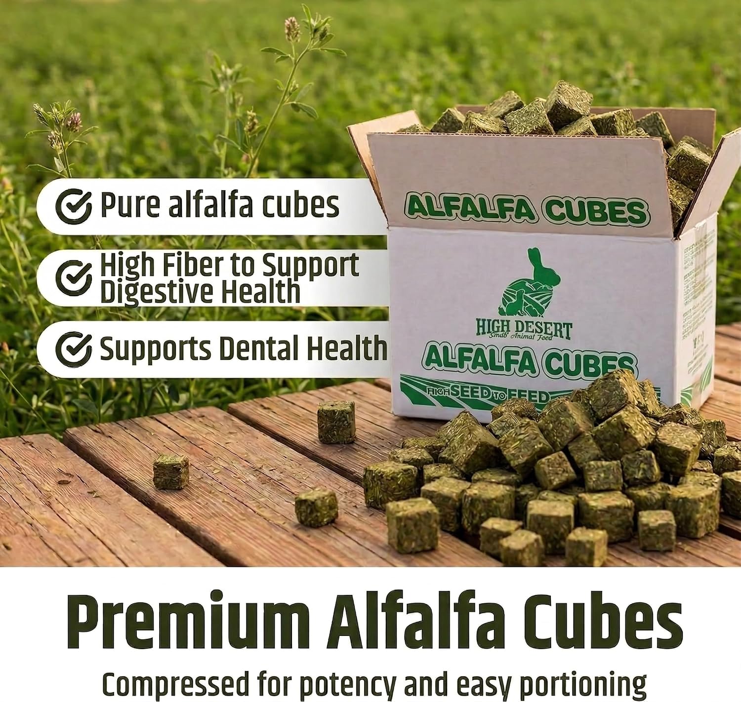 High Desert Alfalfa Cubes for Young Rabbits and Guinea Pigs, 5 lb Box | Protein Rich Soft Leaf Nutrition, Ideal For Growing Kits And Nursing Mothers, Fun Chewable Shape Hand Packed Fresh in the USA