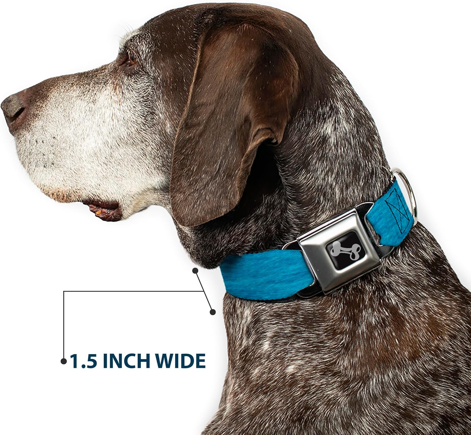 Buckle-Down Heather Blue Dog Collar Bone, Medium/11-17