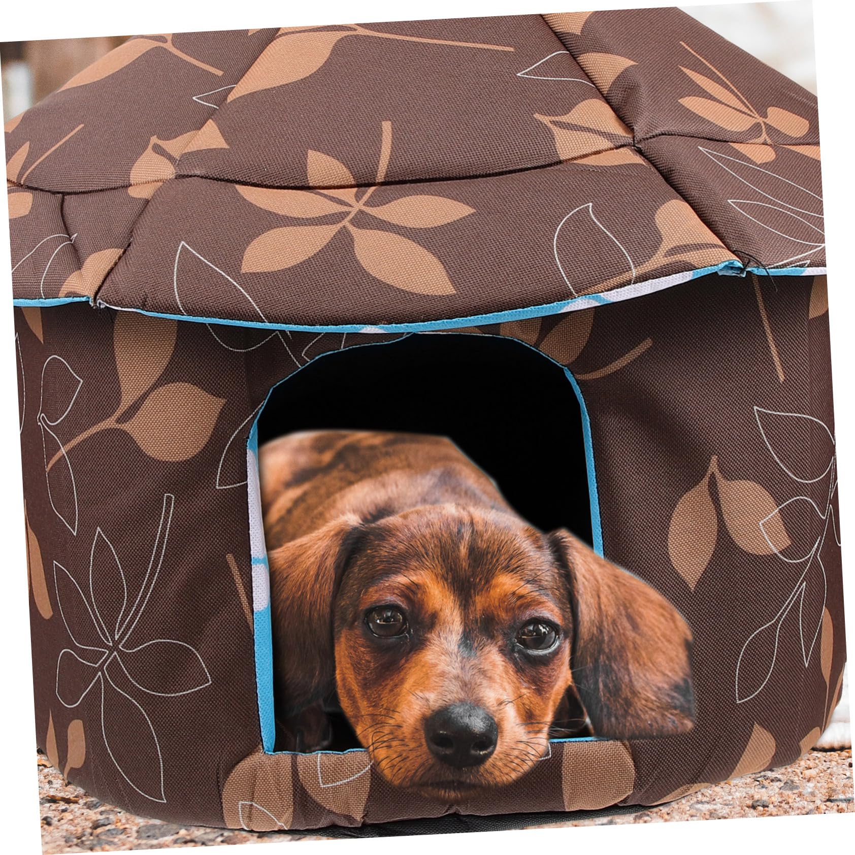 UPKOCH Casa per Semi Chiusa per Rimovibile e Facile per Animali Domestici per Esterni Sicuro