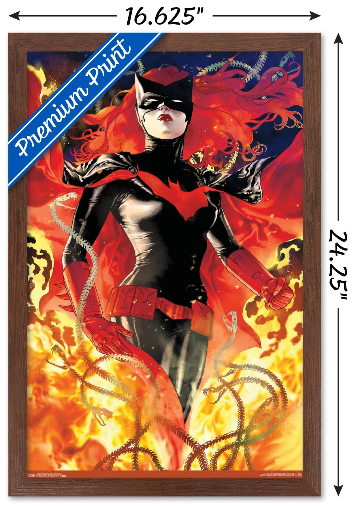 Amazon.com: Trends International DC Comics - Batwoman - Batwoman