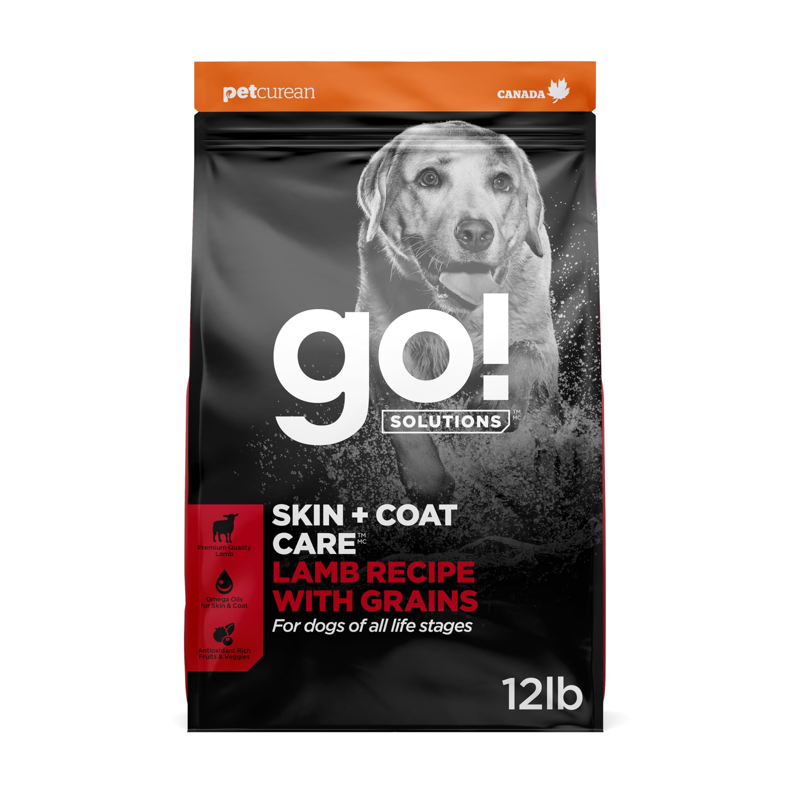 Go! Solutions Skin and Coat Care Lamb Dog Food