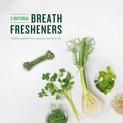 Vista 24 de Minties VetIQ - Golosinas dentales para perros, masticables dentales para perros pequeños/pequeños (menos de 40 libras), 40