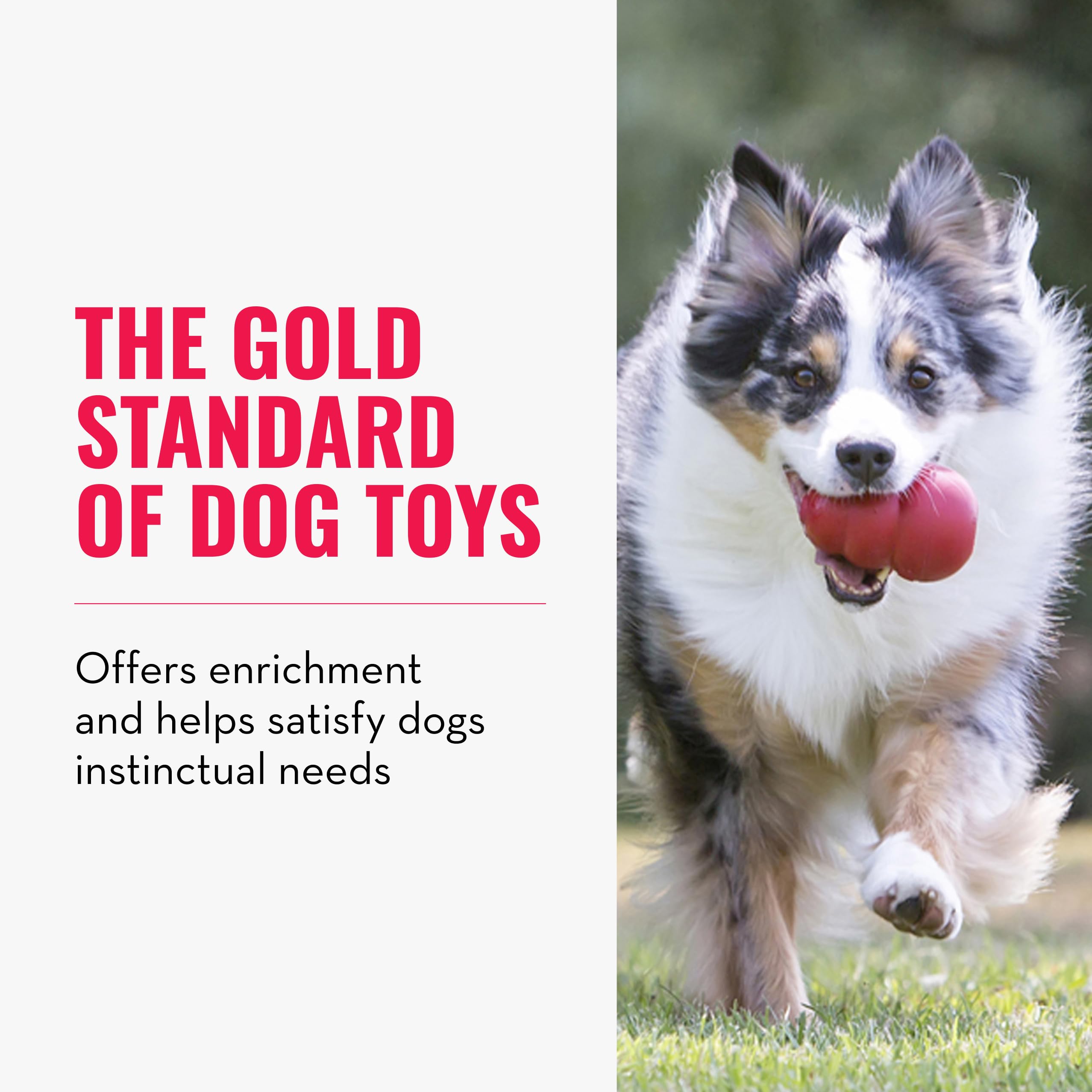 KONG Lot de 2 jouets classiques à mâcher pour chiens – Capacité de remplissage de friandises et rebond erratique pour une durée de jeu prolongée – Matériau en caoutchouc naturel durable – Pour grands