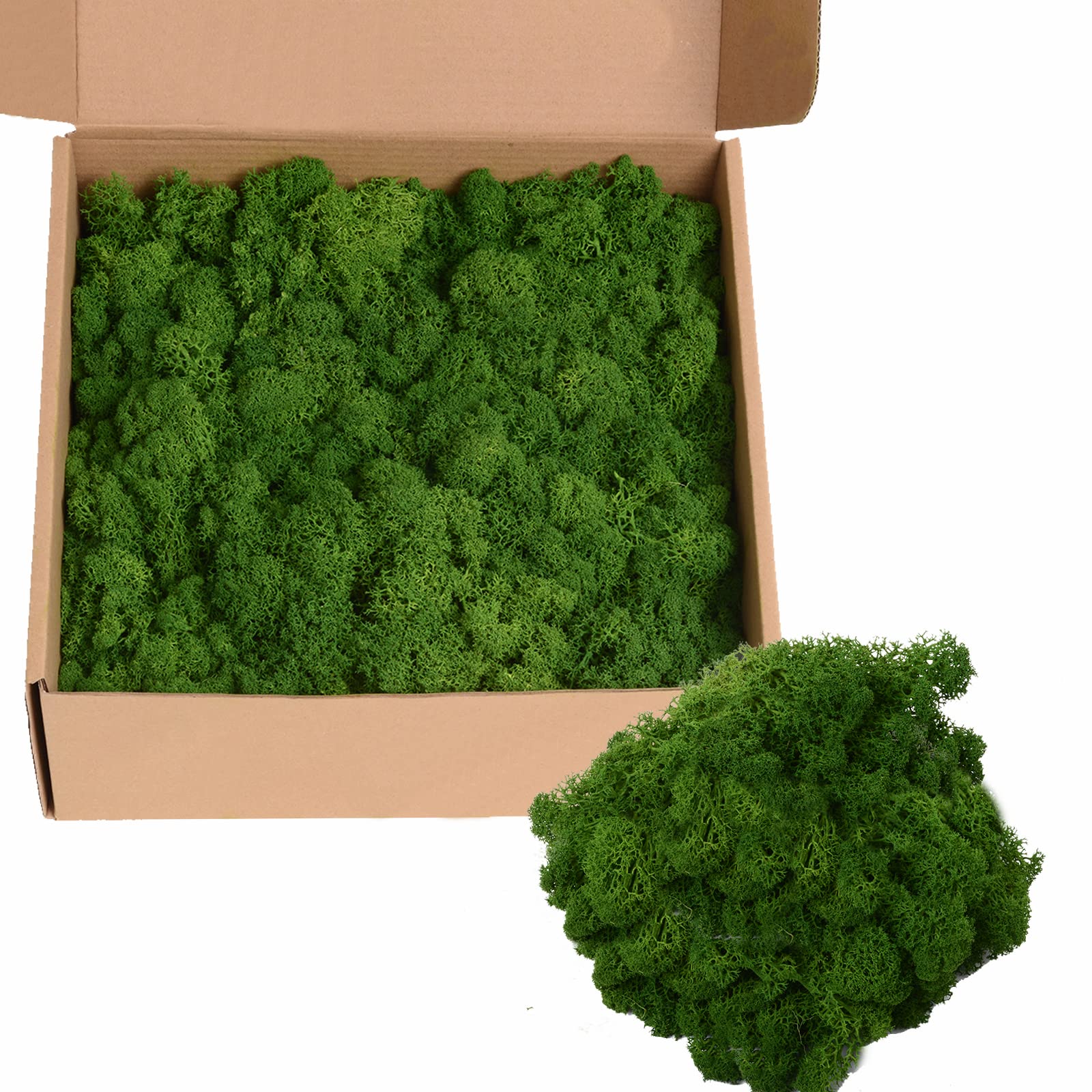 14OZ Preserved Moss Colored Moss for Moss Wall Art, Moss Crafts, Moss for Potted Plants, DIY Home Office Artistic Decoration
