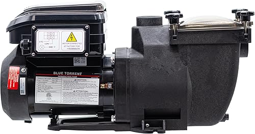 Miniatura 2 de Rx Clear Bomba de piscina enterrada de velocidad variable de 1.65 THP  Eficiencia energética, doble voltaje 115230 V  Motor TEFC silencioso de 4