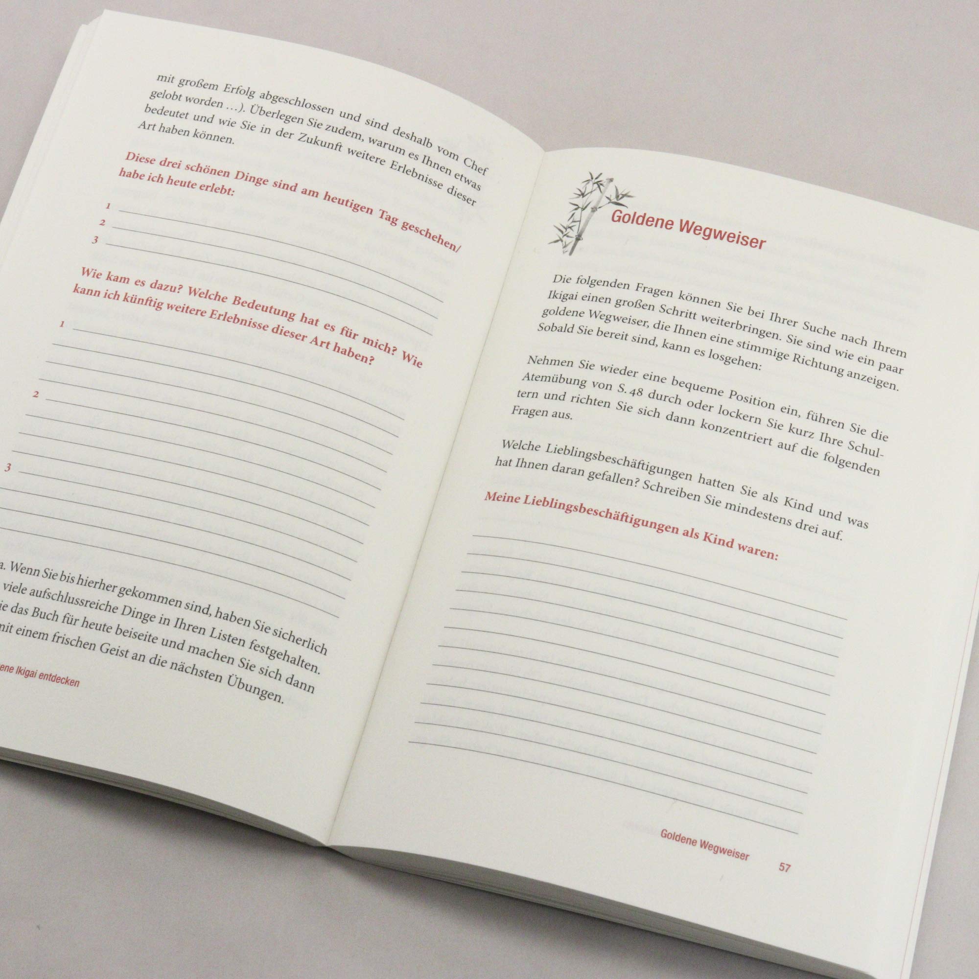 Entdecke dein Ikigai: Mit japanischer Weisheit den Sinn des Lebens finden – Das Praxisbuch