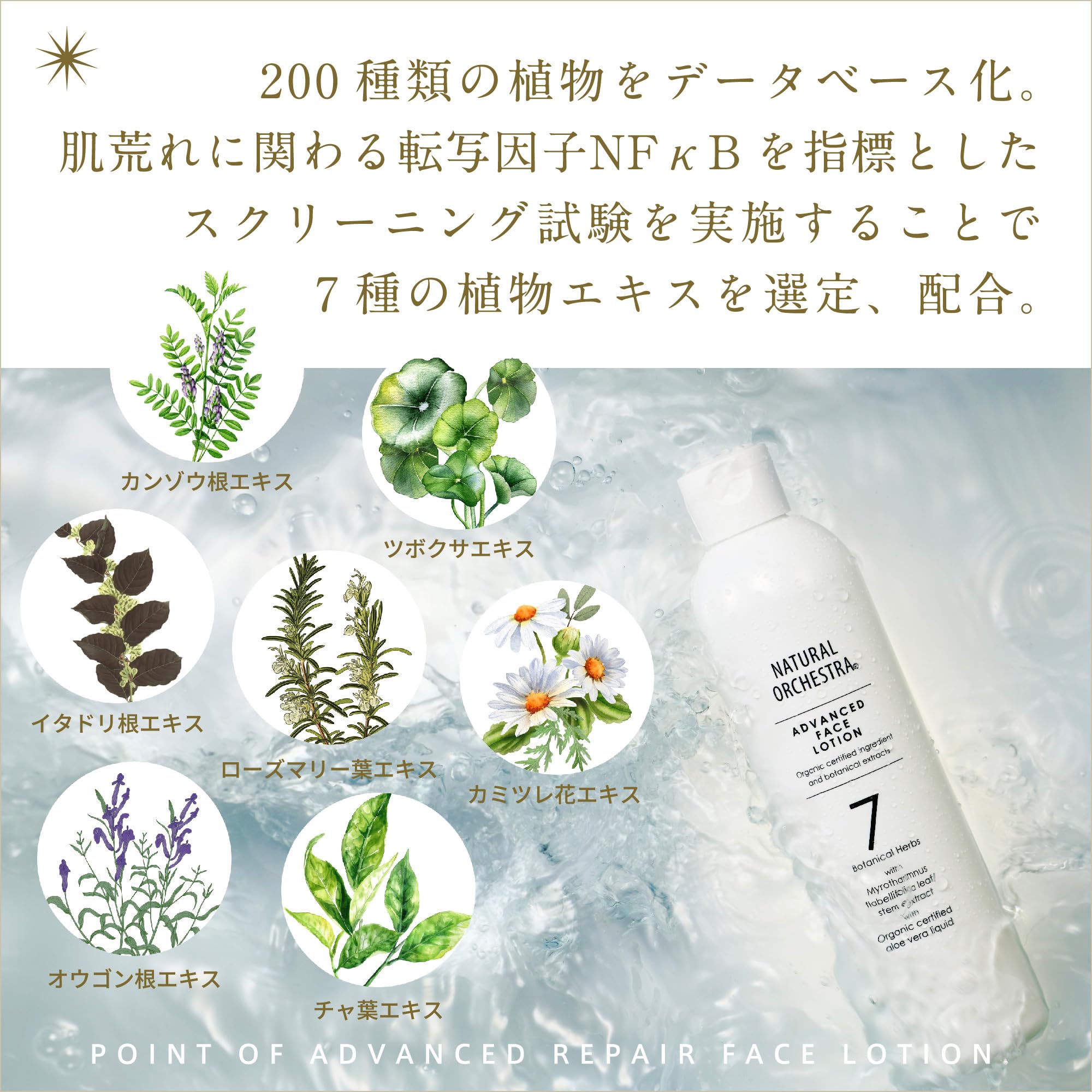 Amazon | 【化粧水】 敏感肌用 高保湿 大容量 300ml 無添加 無香料